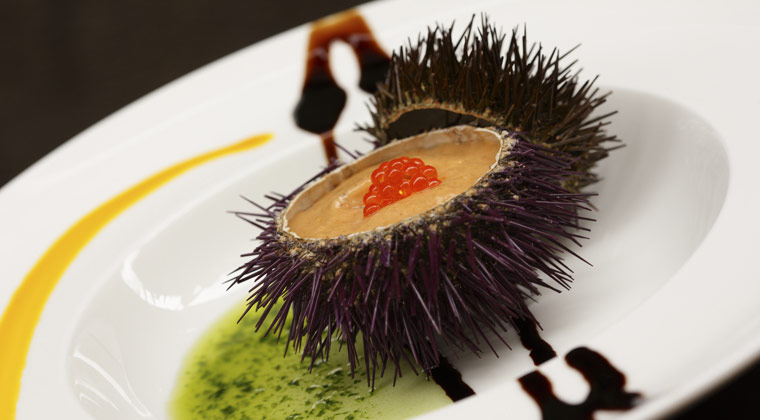 More Michelin stars per square kilometre